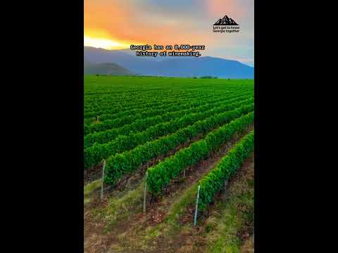 Georgia has an 8,000-year history of winemaking!🇬🇪