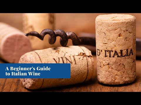 Masterclass | A Beginner’s Guide to Italian Wine