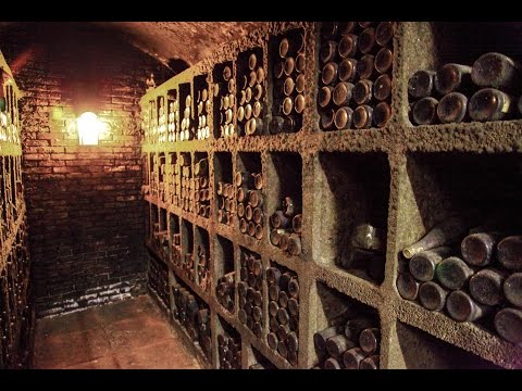 The Ideal Wine Storage Setup: Advice from Fred Scherrer