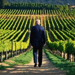 Trumps toldgambit: Et vendepunkt for Californiens vinindustri?